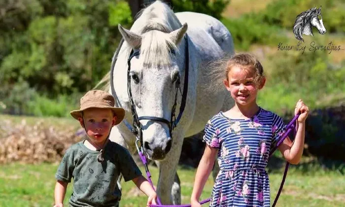 30-Minute individual horse session for 2 kids