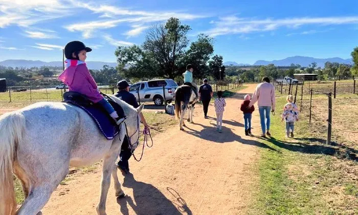 30-Minute individual horse session for 2 kids