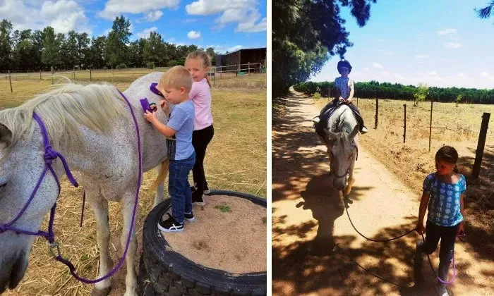 30-Minute individual horse session for 2 kids