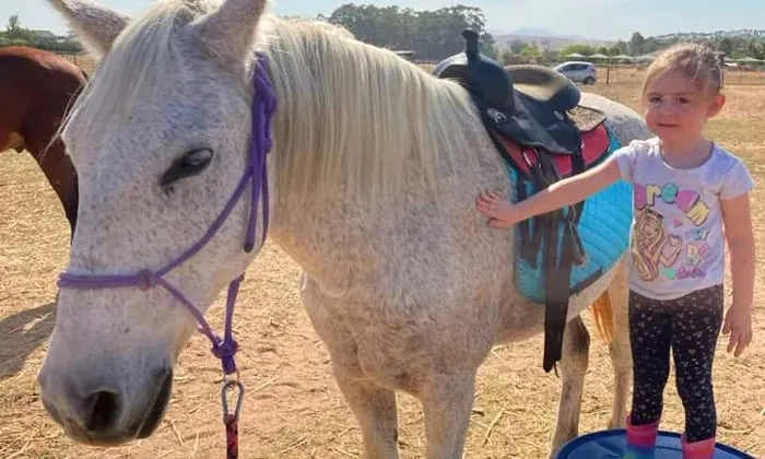 30-Minute individual horse session for 2 kids