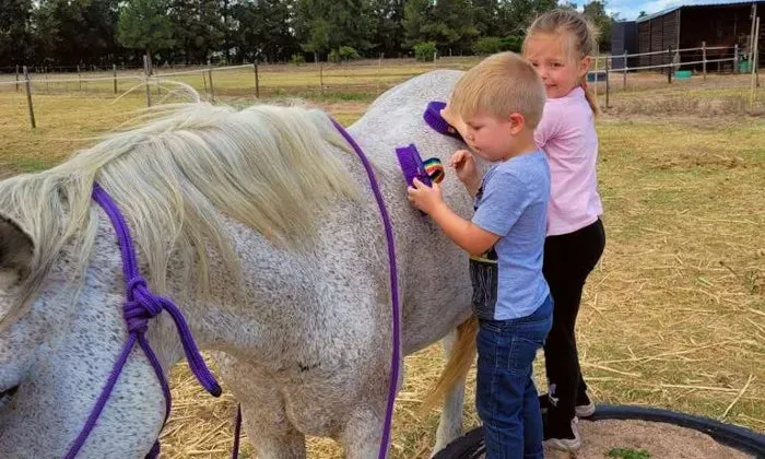 30-Minute individual horse session for 2 kids