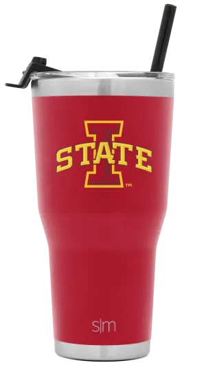 Collegiate Cruiser Tumbler with Flip Lid and Straw