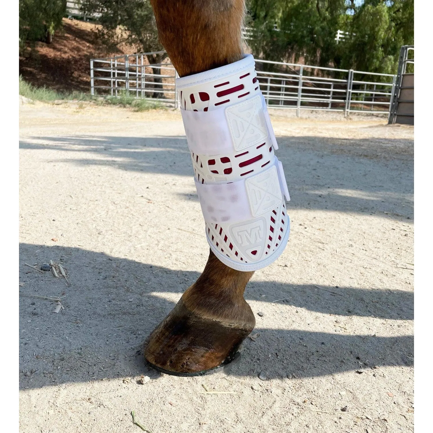 Limited Edition! XC Elite Front and Hind Set in White/Bordeaux